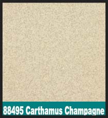 88495 Carthamus Champagne
